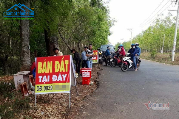 Giới đầu tư đi ồ ạt đổ về huyện Hớn Quản "săn" đất vào trung tuần tháng 2 vừa qua Giới đầu tư đi ồ ạt đổ về huyện Hớn Quản "săn" đất vào trung tuần tháng 2 vừa qua